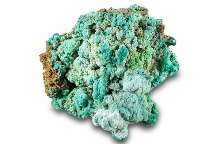 Forest Green Conichalcite on Chrysocolla - Namibia #285074